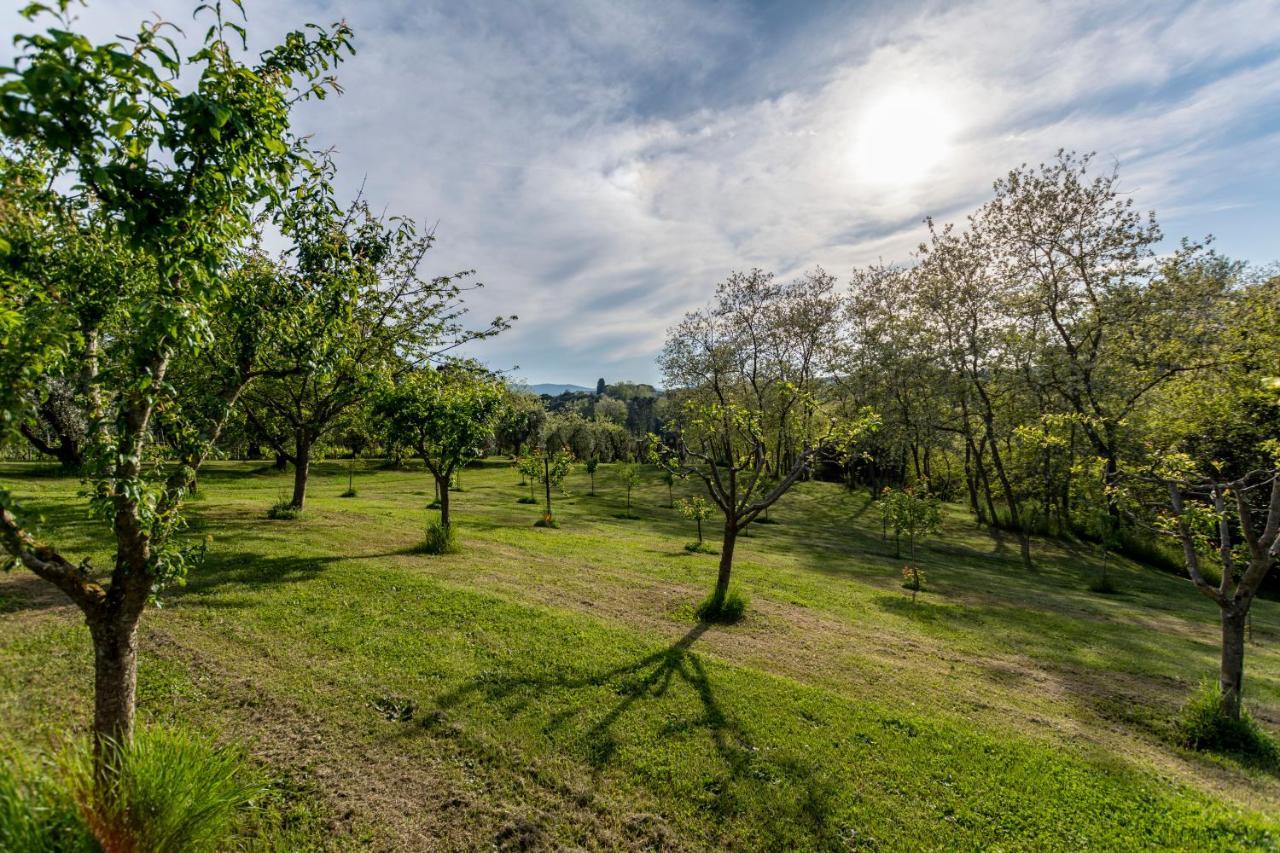 Podere Sant'Antonio Fauglia Bagian luar foto
