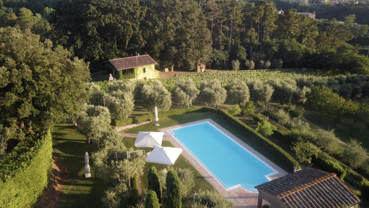Podere Sant'Antonio Fauglia Bagian luar foto