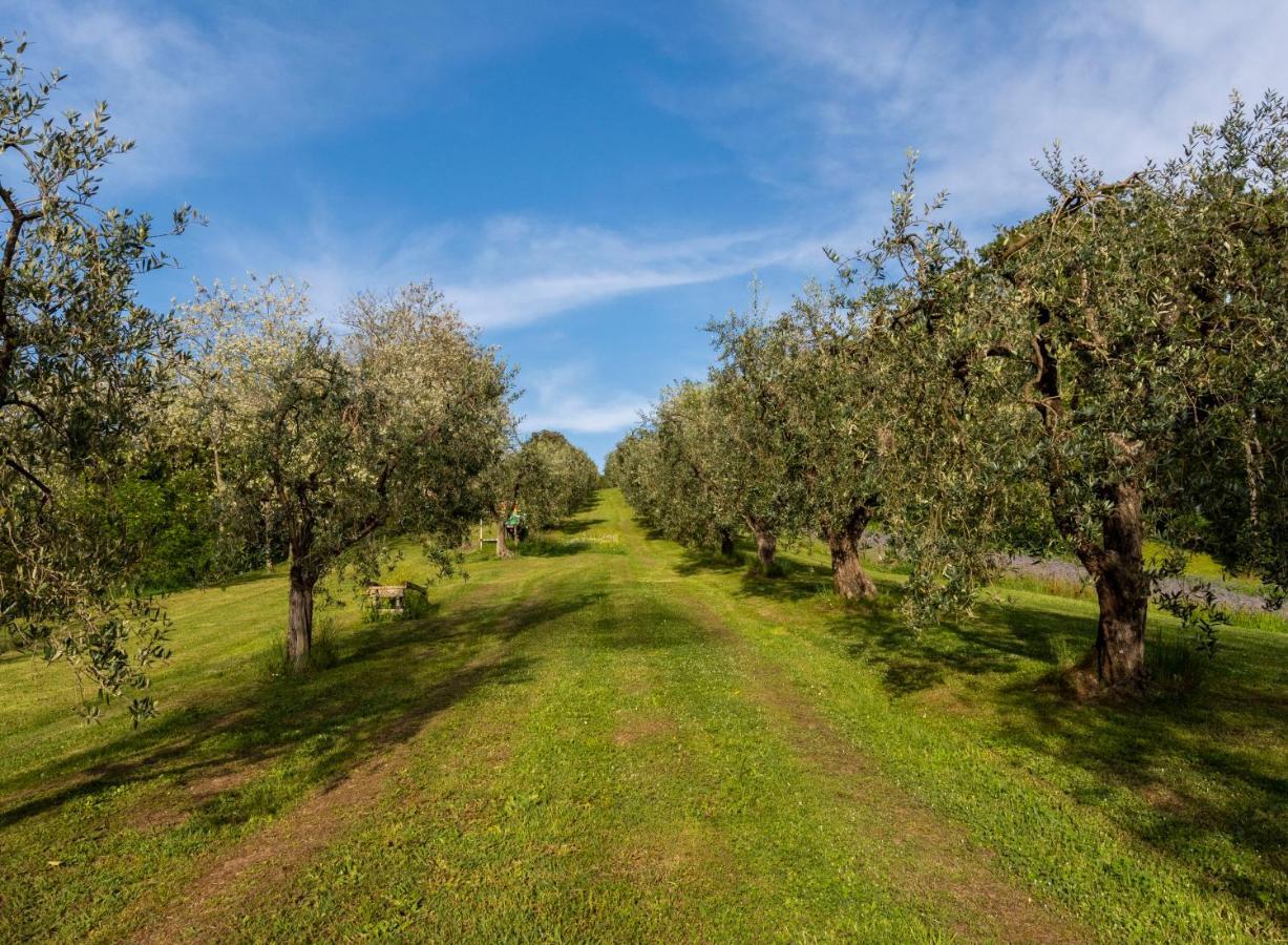 Podere Sant'Antonio Fauglia Bagian luar foto