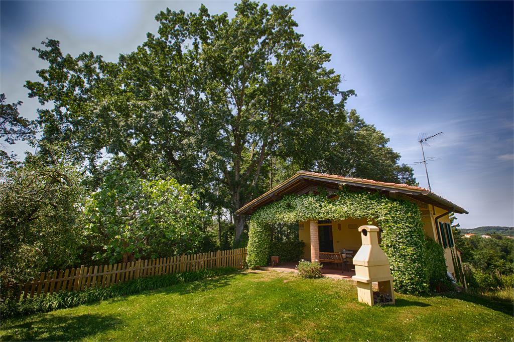 Podere Sant'Antonio Fauglia Bagian luar foto