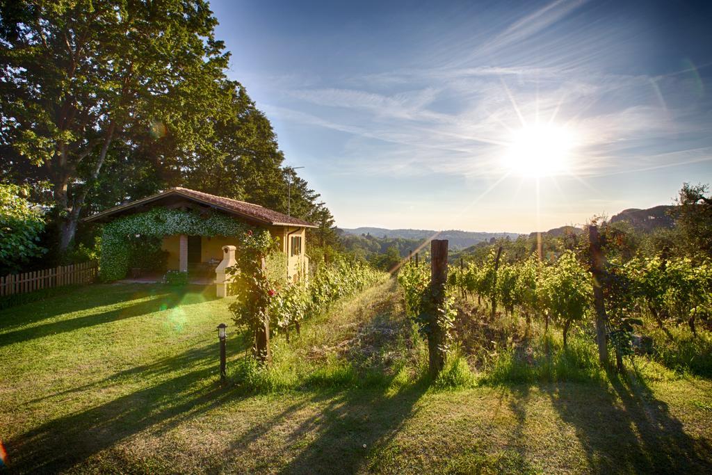 Podere Sant'Antonio Fauglia Bagian luar foto