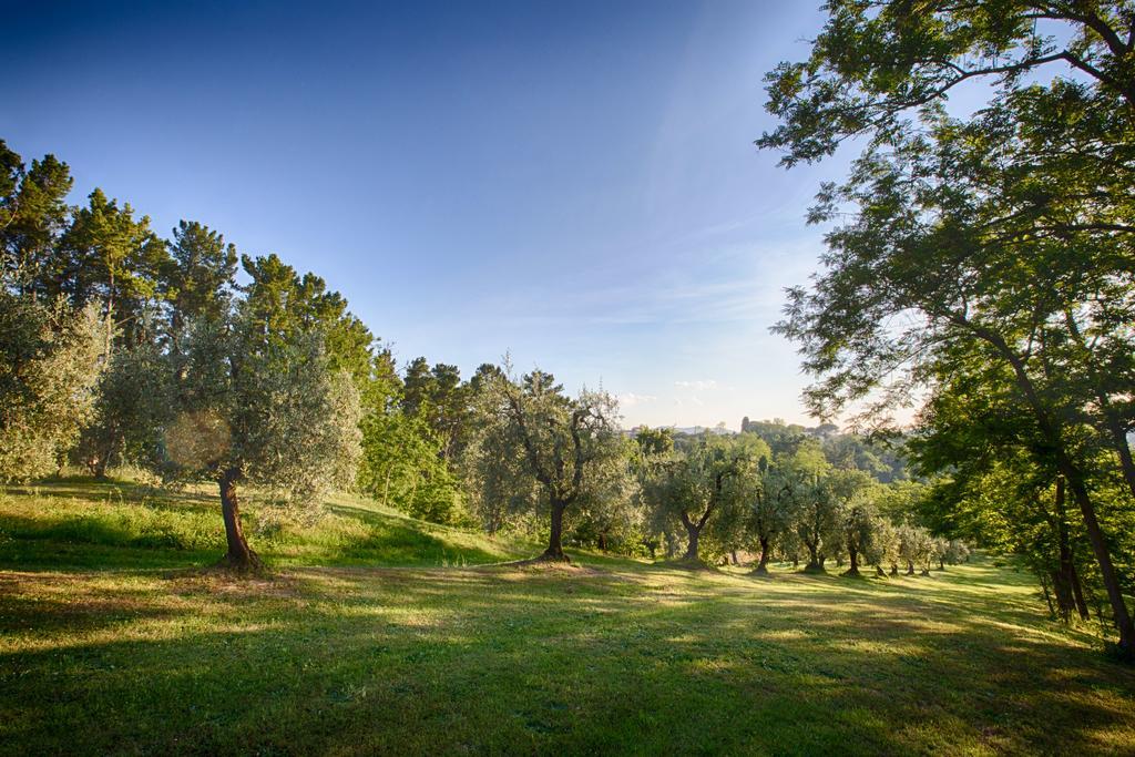 Podere Sant'Antonio Fauglia Bagian luar foto